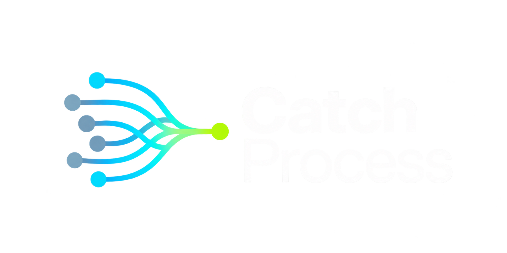 Catch Process
